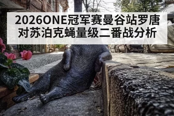 2026ONE冠军赛曼谷站罗唐对苏泊克蝇量级二番战分析
